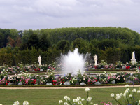 Versailles Grands Eaux