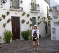 Calleja de las Flores - Fontaine