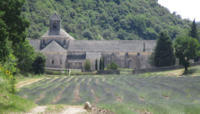 Abbaye Notre-Dame de Sénanque avec lavande