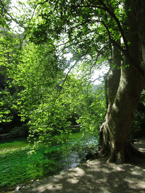 La Sorgue