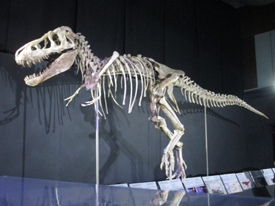 Tarbosaurus