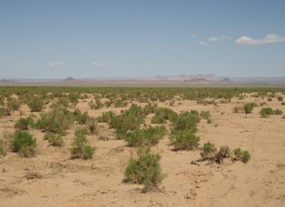 Govi Desert