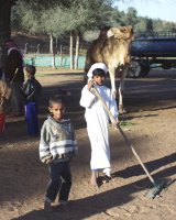 ラクダを飼う子供