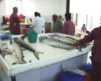 ラス・アル・ハイマーの魚市場